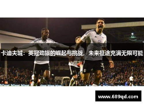 卡迪夫城:英冠劲旅的崛起与挑战,未来征途充满无限可能 卡迪夫城:英冠劲旅的崛起与挑战,未来征途充满无限可能