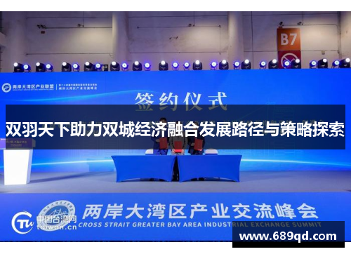 双羽天下助力双城经济融合发展路径与策略探索 双羽天下助力双城经济融合发展路径与策略探索
